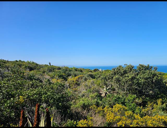 2,779M² VACANT LAND FOR SALE IN SPRINGERBAAI ECO ESTATE